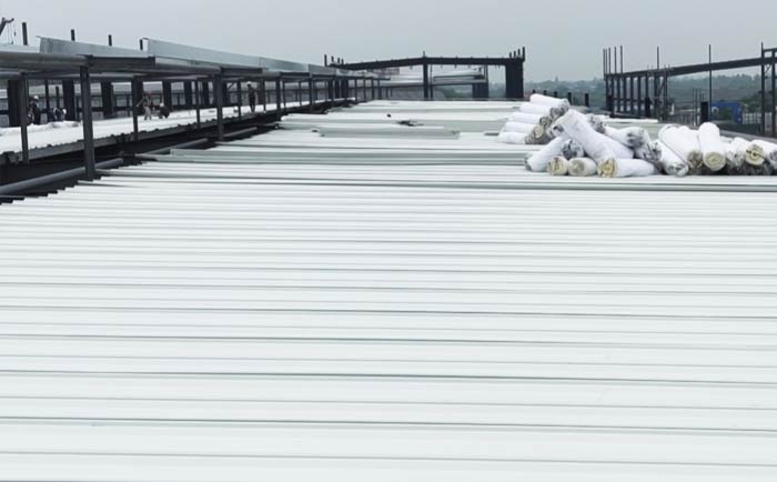 四川东虹科技德阳项目